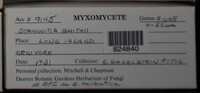 Image Associated With the Occurence
